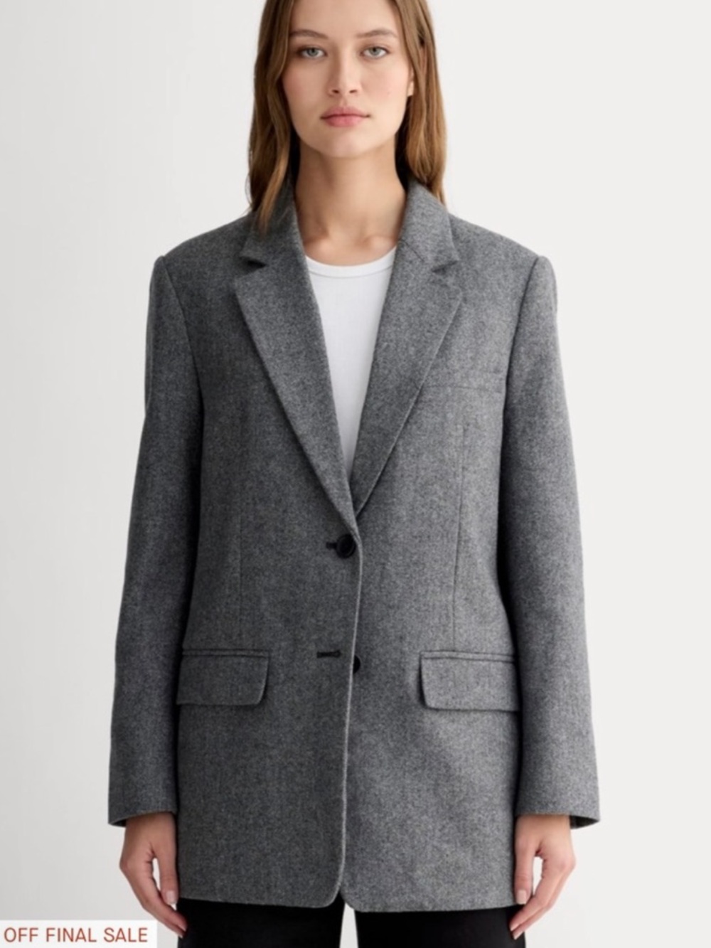 Everlane Oversized Gray Wool Blend Blazer Coat